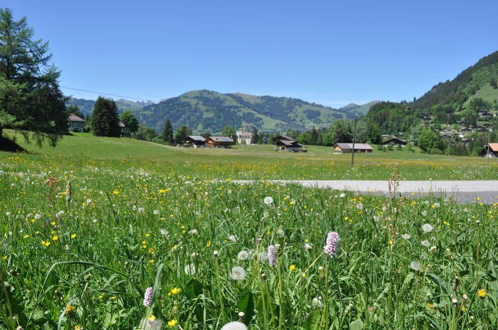 Alpenchalet Weidhaus Gstaad Zewnętrze zdjęcie