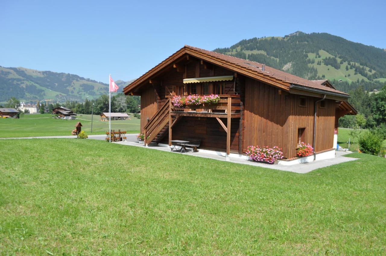 Alpenchalet Weidhaus Gstaad Zewnętrze zdjęcie
