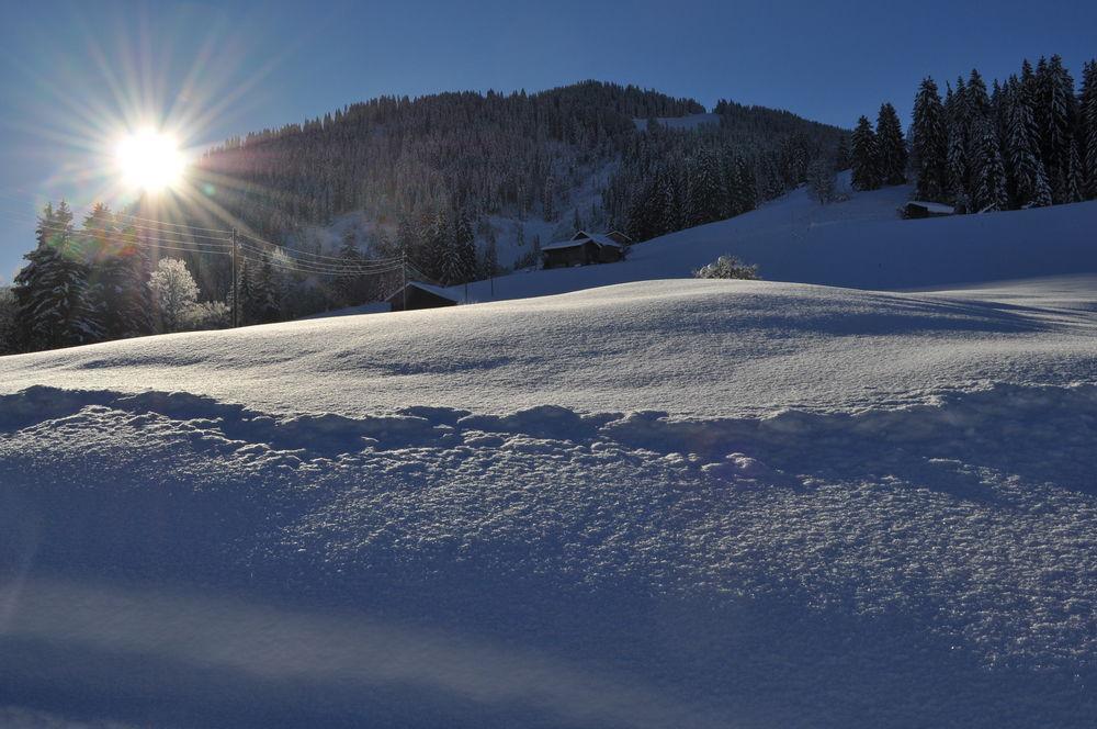 Alpenchalet Weidhaus Gstaad Zewnętrze zdjęcie