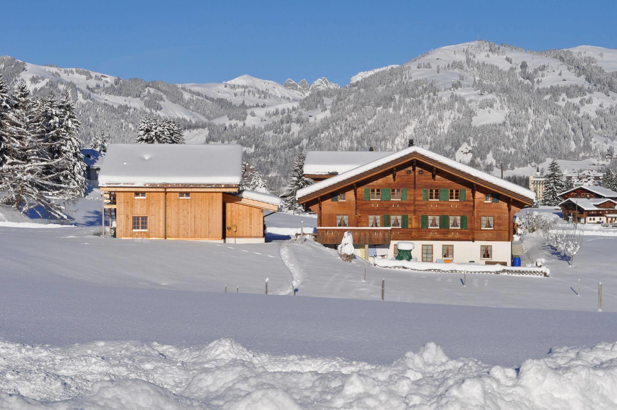 Alpenchalet Weidhaus Gstaad Zewnętrze zdjęcie